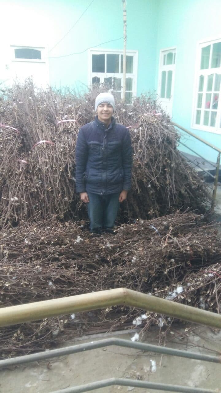 Nimaga odilxanivichinkorea.com ga qo‘l urdim?