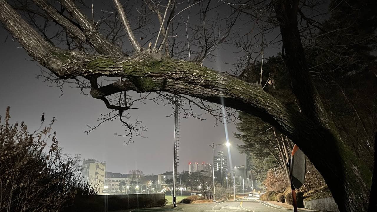 Janubiy Koreyada O‘z Ishtiyoqimni Yo‘qotganim Haqida