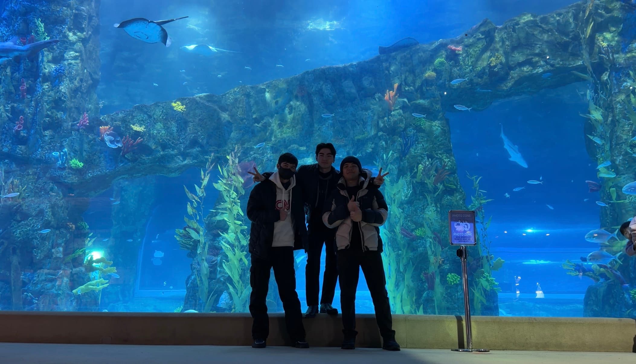 Nega ko‘pchilik Koreyadan qaytib ketadi?