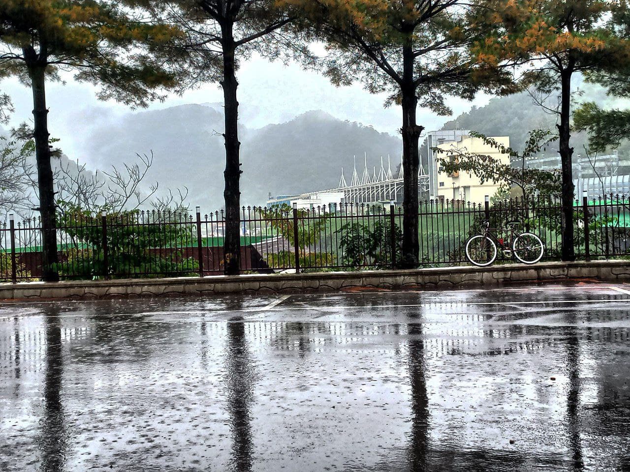 Janubiy Koreyada Arzon Universitetlar: Haqiqat