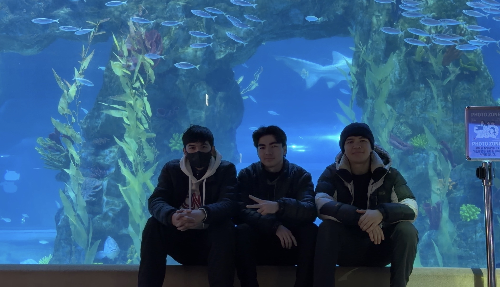 Life in Korea